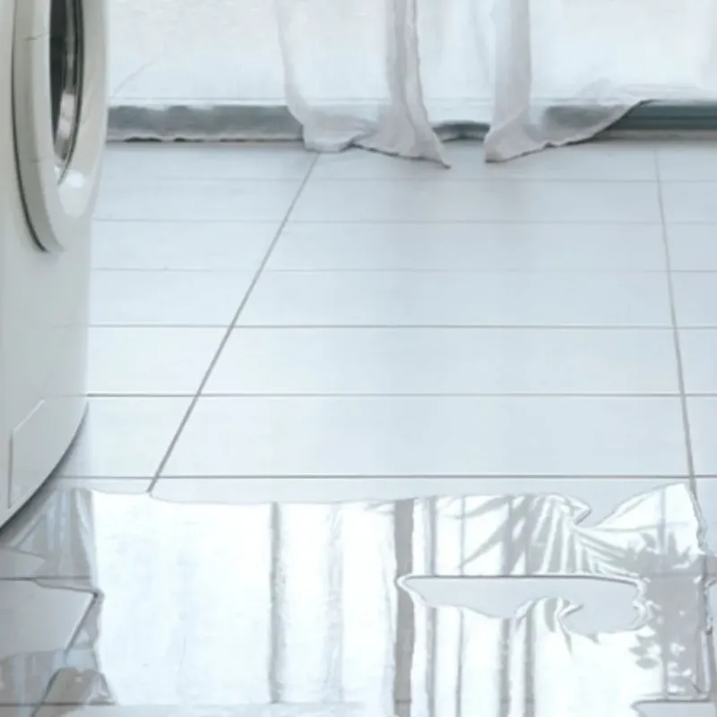 Appliance Leak Cleanup in Cayucos, CA