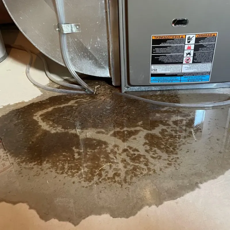 Pipe Burst and Leak Restoration in Cayucos, CA